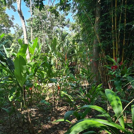 Вилла El Jardin De Playa Negra Puerto Viejo de Talamanca Экстерьер фото