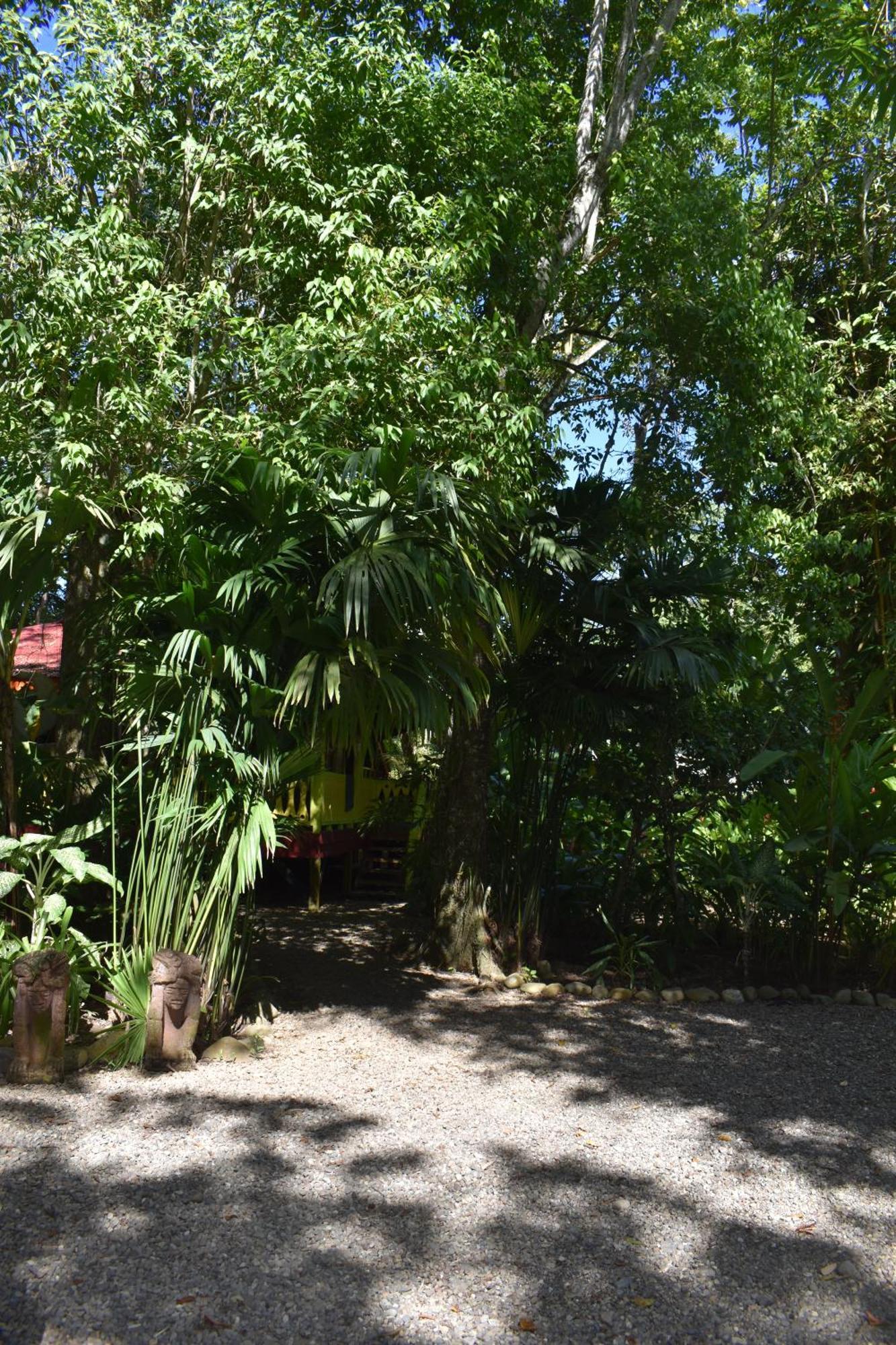 Вилла El Jardin De Playa Negra Puerto Viejo de Talamanca Экстерьер фото