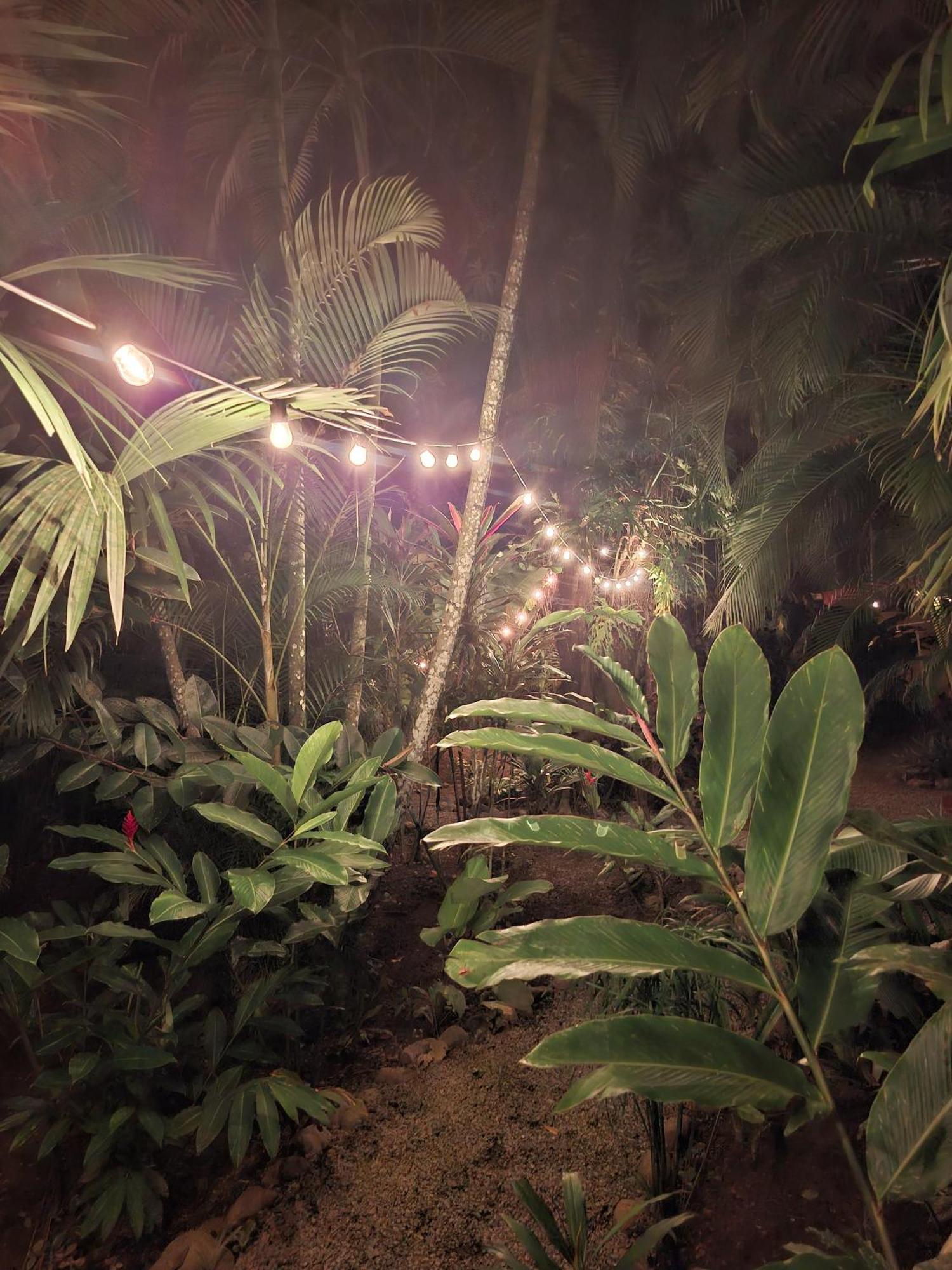 Вилла El Jardin De Playa Negra Puerto Viejo de Talamanca Экстерьер фото