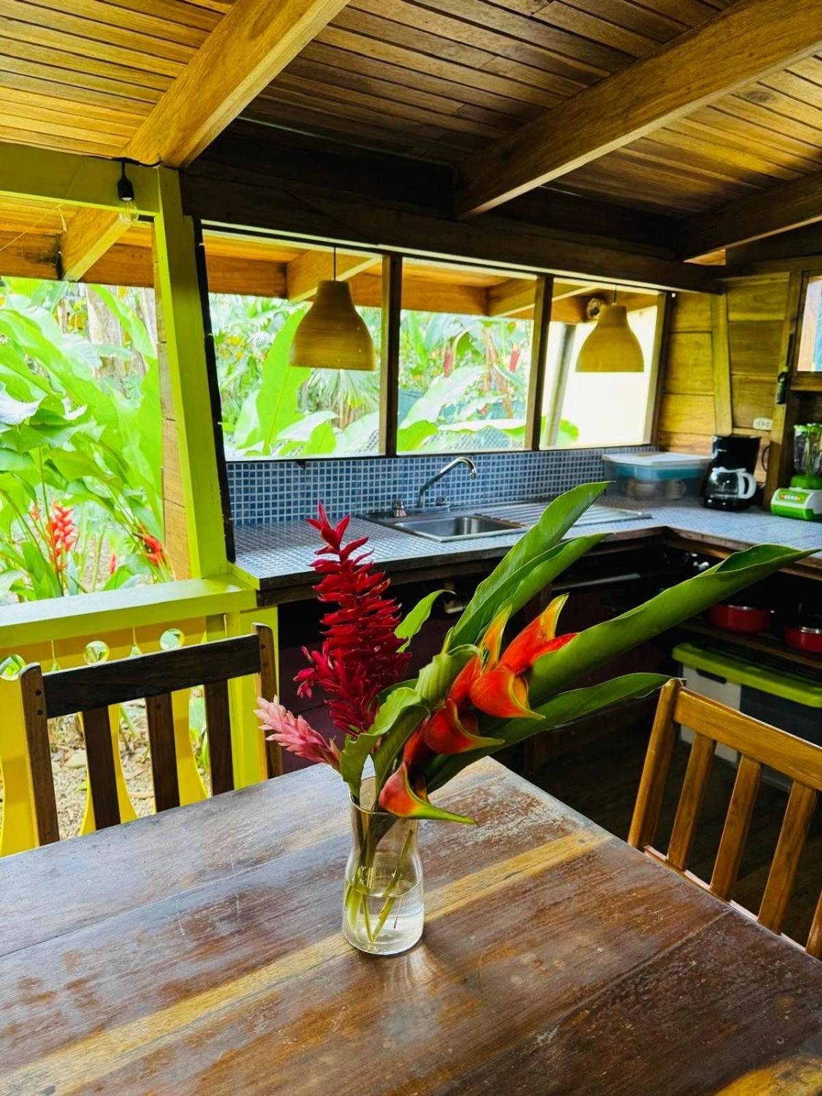 Вилла El Jardin De Playa Negra Puerto Viejo de Talamanca Экстерьер фото