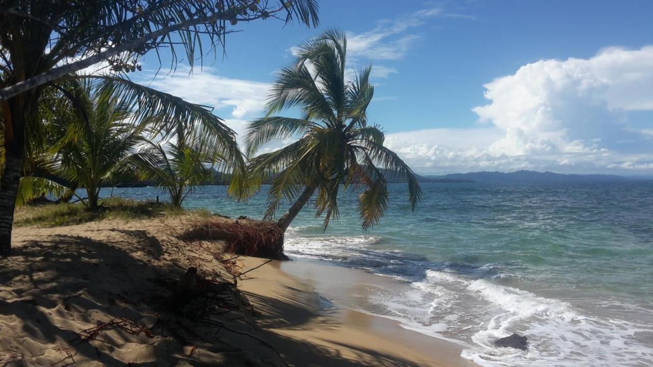 Вилла El Jardin De Playa Negra Puerto Viejo de Talamanca Экстерьер фото