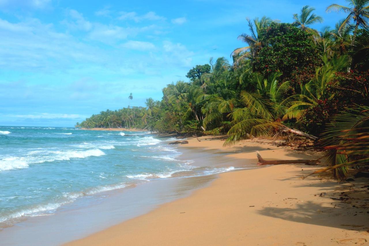 Вилла El Jardin De Playa Negra Puerto Viejo de Talamanca Экстерьер фото